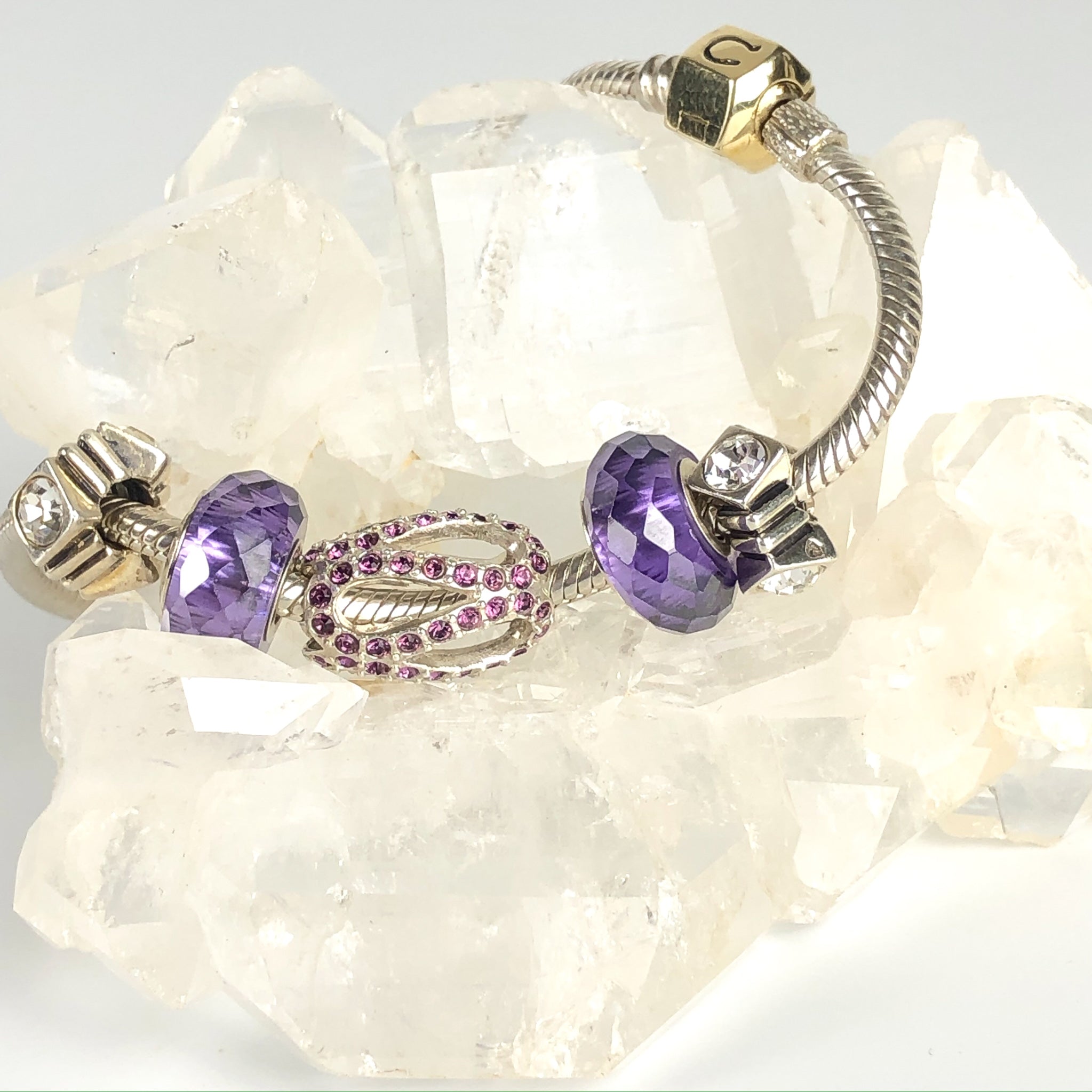 Chamilia Charms Legacy Collectors