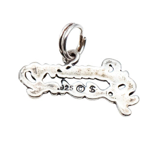 Someone Special Sterling Silver Charm Pendant