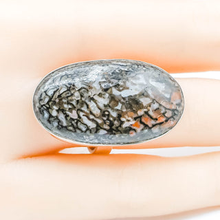 Petrified Dinosaur Bone Ring Size 7.5 in Sterling Silver