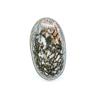 Petrified Dinosaur Bone Ring Size 7.5 in Sterling Silver