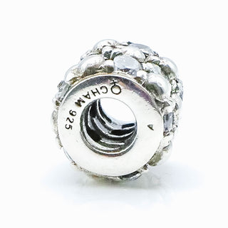 CHAMILIA Gleaming Splendor Sterling Silver Charm