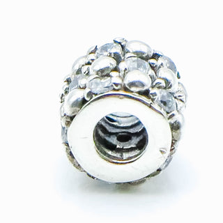 CHAMILIA Gleaming Splendor Sterling Silver Charm