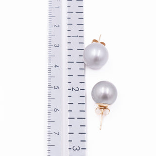 14K Yellow Gold 10.5mm Gray Cultured Freshwater Pearl Stud Earrings