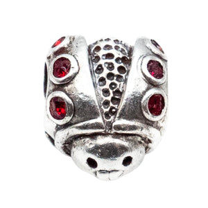 Descriptive image text