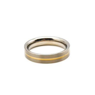 Titanium And 14k Gold Satin Finish Wedding Band Ring