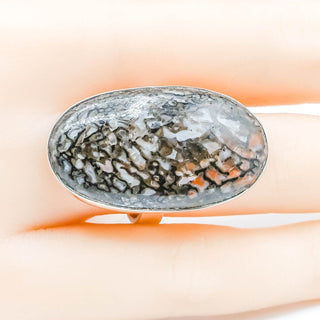 Petrified Dinosaur Bone Ring Size 7.5 in Sterling Silver