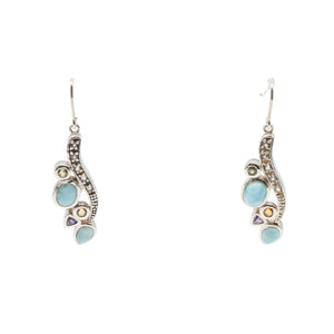 Descriptive image text