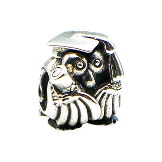 Chamilia Graduation Owl Sterling Silver Charm Graduate Teacher Diploma Gift