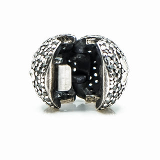 PANDORA Poetic Blooms Sterling Silver Clip Charm