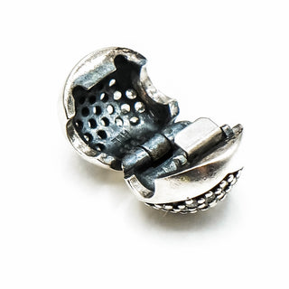 PANDORA Love of My Life Sterling Silver Clip Charm